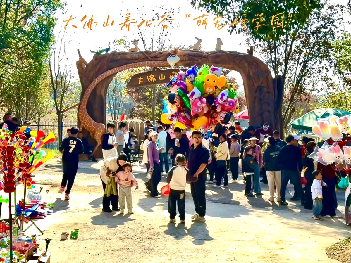 亲子研学主题活动